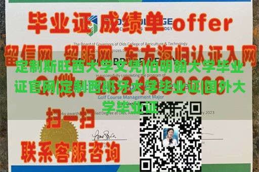 定制斯旺西大学文凭|伯明翰大学毕业证官网|定制西班牙大学毕业证|国外大学毕业证