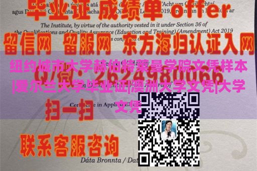 纽约城市大学赫伯特莱曼学院文凭样本|爱尔兰大学毕业证|澳洲大学文凭|大学文凭