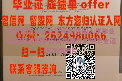 东京国际大学文凭样本|法国大学毕业证|定制法国学历证书|国外大学毕业证电子版图片