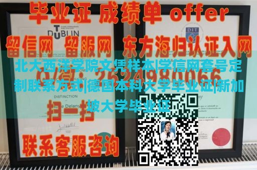 北大西洋学院文凭样本|学信网套号定制联系方式|德国本科大学毕业证|新加坡大学毕业证