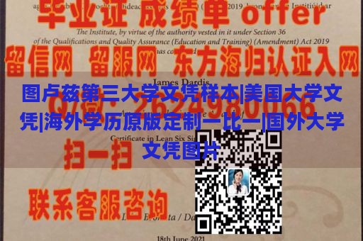 图卢兹第三大学文凭样本|美国大学文凭|海外学历原版定制一比一|国外大学文凭图片