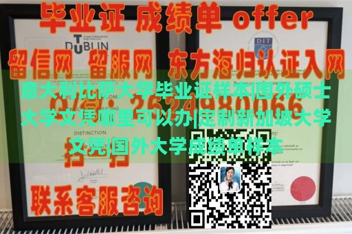 意大利比萨大学毕业证样本|国外硕士大学文凭哪里可以办|定制新加坡大学文凭|国外大学成绩单样本