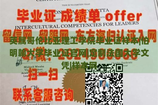 英属哥伦比亚理工学院毕业证样本|伯明翰大学毕业证官网|定制法国大学文凭|样本网