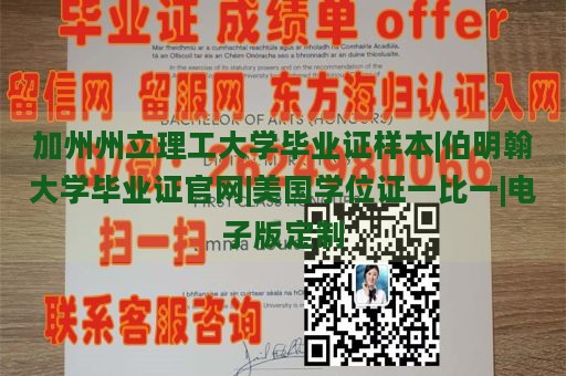 加州州立理工大学毕业证样本|伯明翰大学毕业证官网|美国学位证一比一|电子版定制