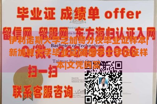 伊利诺斯大学芝加哥分校毕业证样本|新加坡大学毕业证|德国学士学位证样本|文凭购买