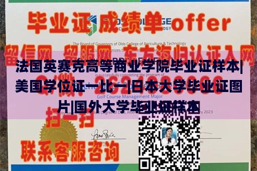 法国英赛克高等商业学院毕业证样本|美国学位证一比一|日本大学毕业证图片|国外大学毕业证样本