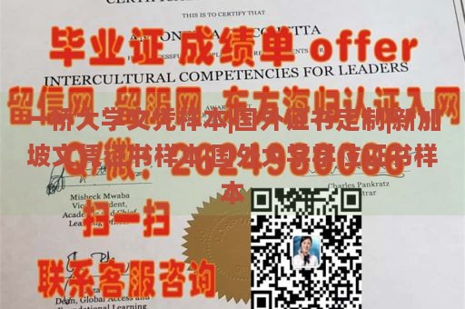 一桥大学文凭样本|国外证书定制|新加坡文凭证书样本|国外大学学位证书样本