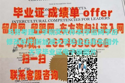 马努考理工学院文凭样本|学信网学历修改软件|新加坡大学毕业证样本|国外大学毕业证电子版图片