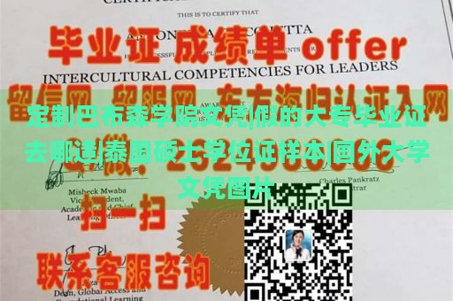 定制巴布森学院文凭|假的大专毕业证去哪造|泰国硕士学位证样本|国外大学文凭图片