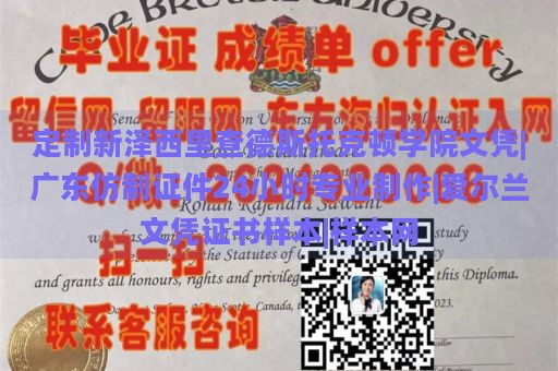 定制新泽西里查德斯托克顿学院文凭|广东仿制证件24小时专业制作|爱尔兰文凭证书样本|样本网