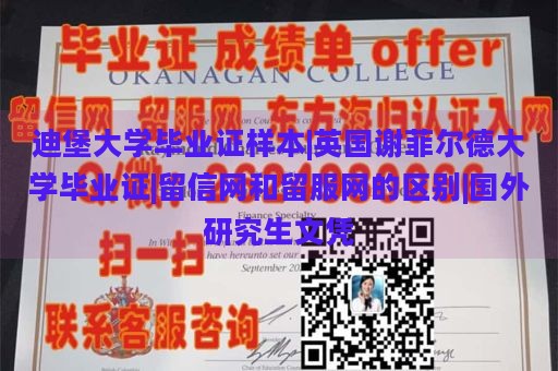 迪堡大学毕业证样本|英国谢菲尔德大学毕业证|留信网和留服网的区别|国外研究生文凭