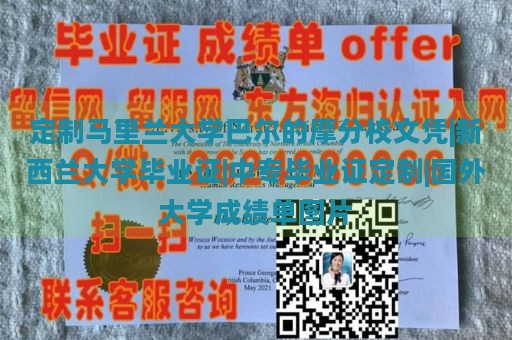 定制马里兰大学巴尔的摩分校文凭|新西兰大学毕业证|中专毕业证定制|国外大学成绩单图片