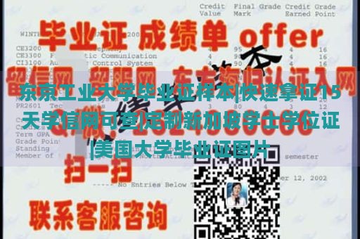 东京工业大学毕业证样本|快速拿证15天学信网可查|定制新加坡学士学位证|美国大学毕业证图片