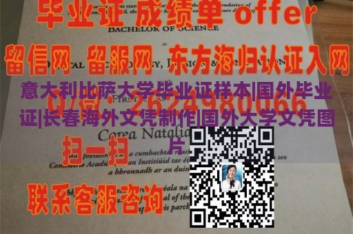 意大利比萨大学毕业证样本|国外毕业证|长春海外文凭制作|国外大学文凭图片