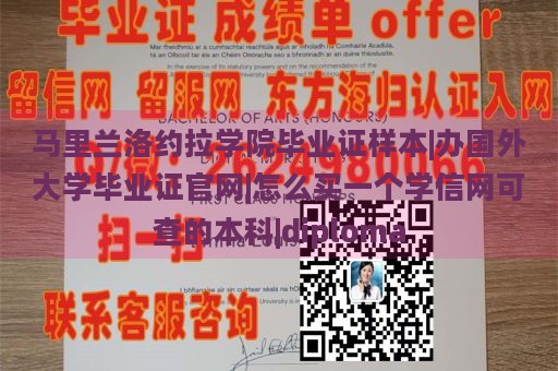 马里兰洛约拉学院毕业证样本|办国外大学毕业证官网|怎么买一个学信网可查的本科|diploma