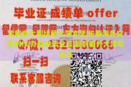 定制意大利比萨大学文凭|长春海外文凭制作|办各类毕业证|复刻国外大学毕业证