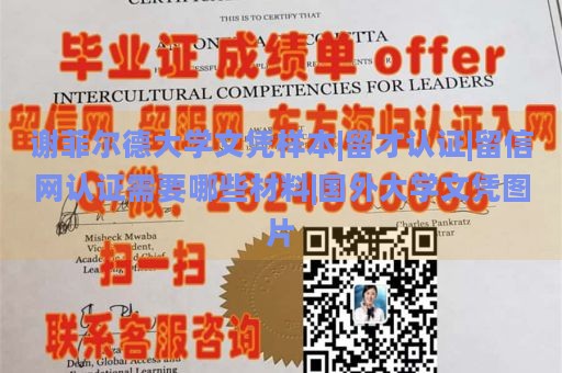 谢菲尔德大学文凭样本|留才认证|留信网认证需要哪些材料|国外大学文凭图片