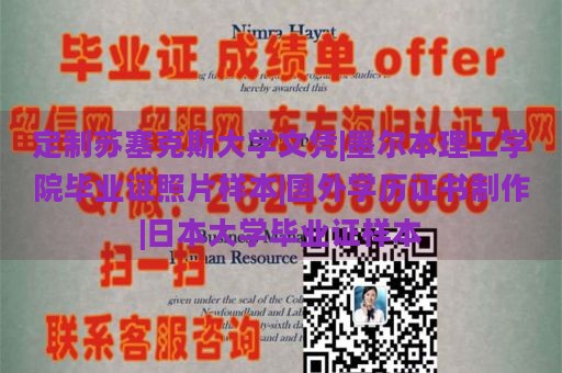 定制苏塞克斯大学文凭|墨尔本理工学院毕业证照片样本|国外学历证书制作|日本大学毕业证样本